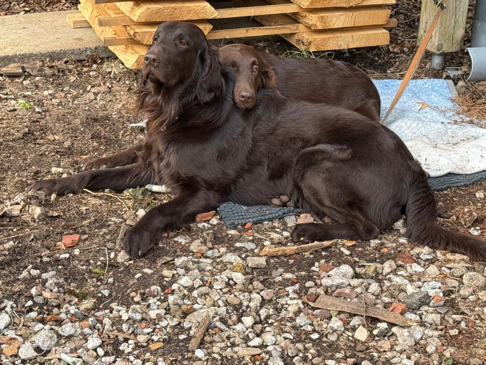 Endspurt - noch 5 Tage