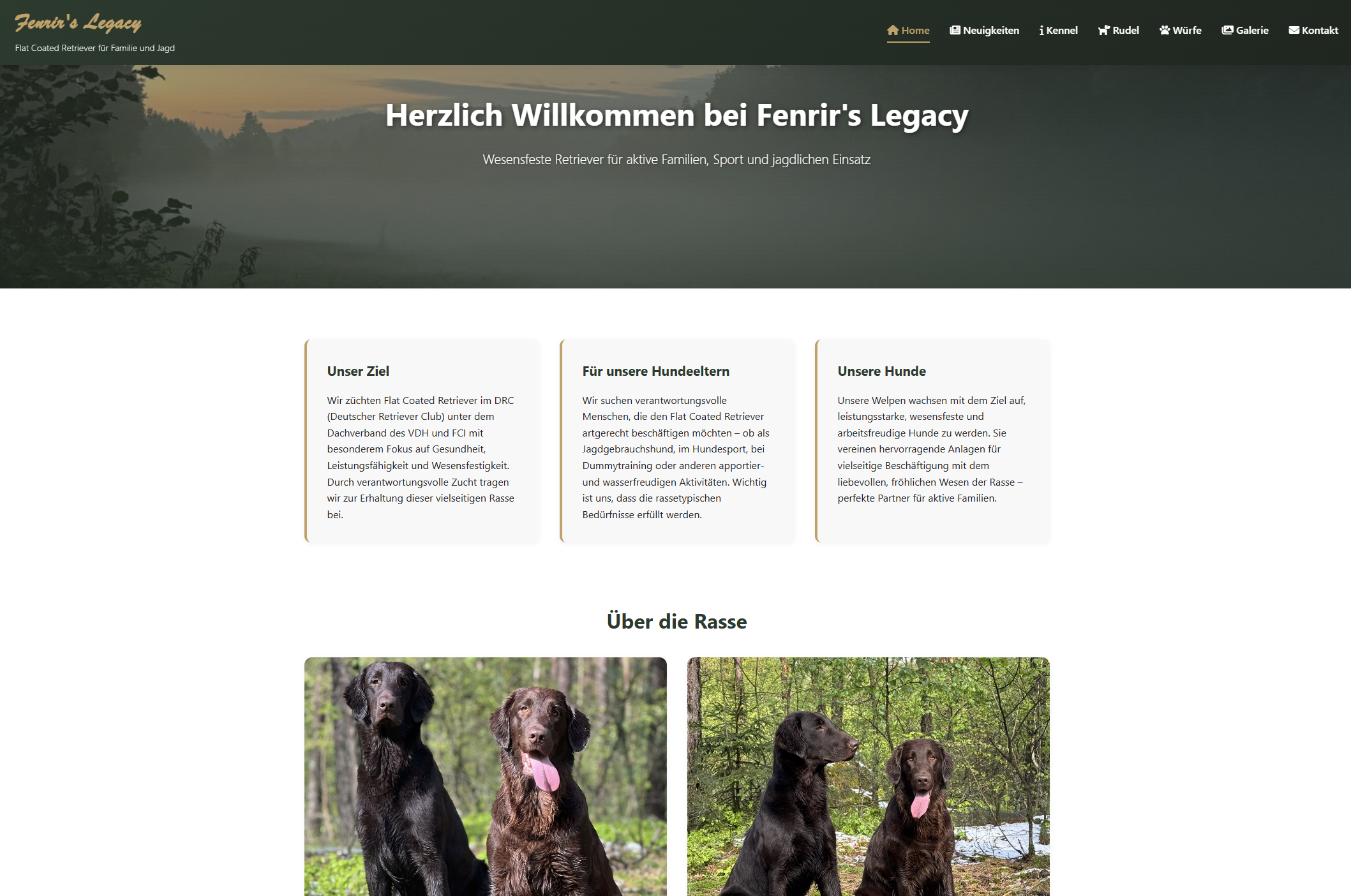 Neue Website ist online!