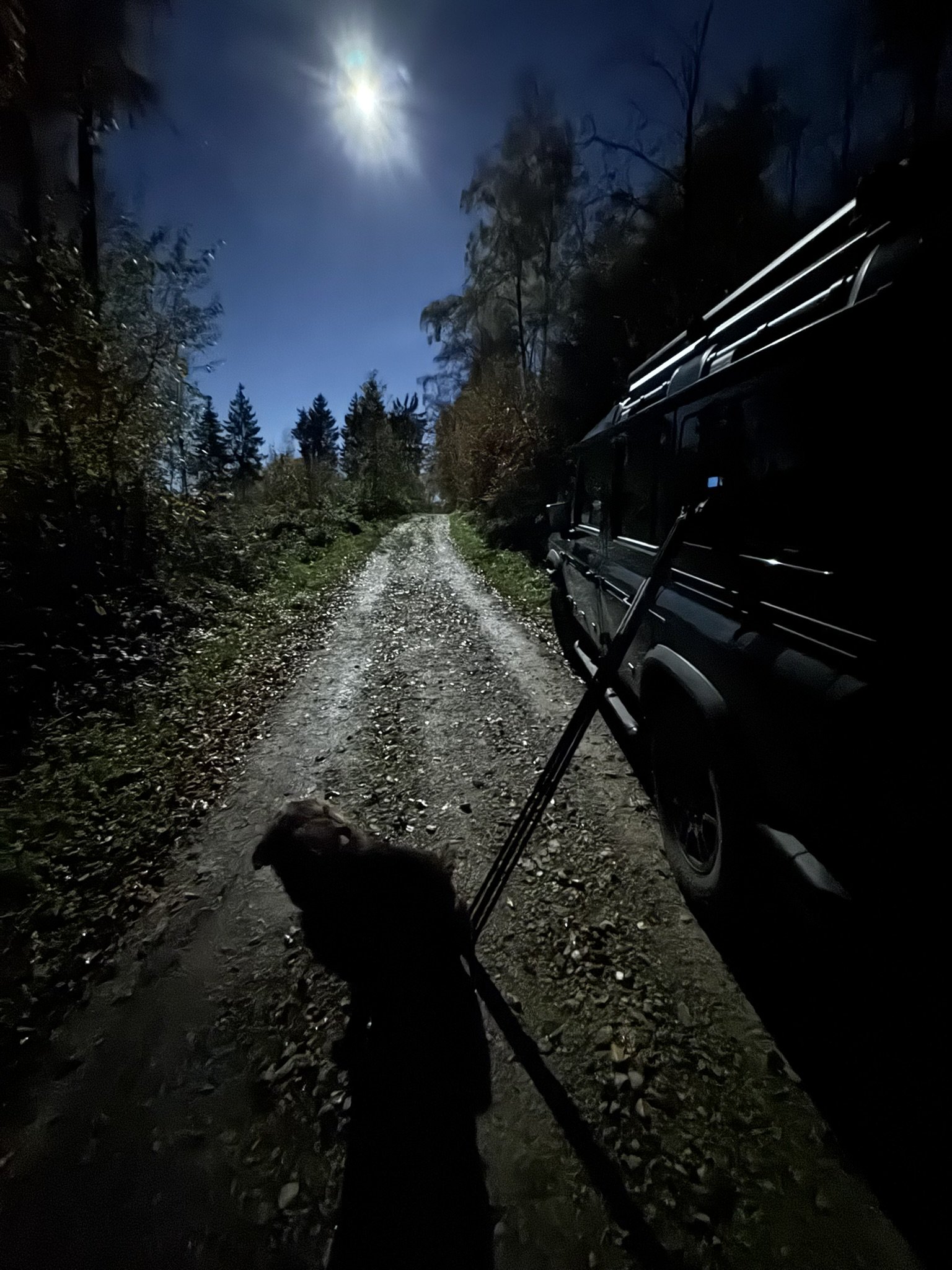 Nachtjagd im November 2025